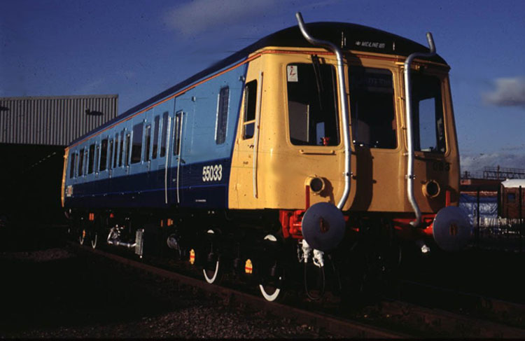 55033 at Tyseley in experimental livery