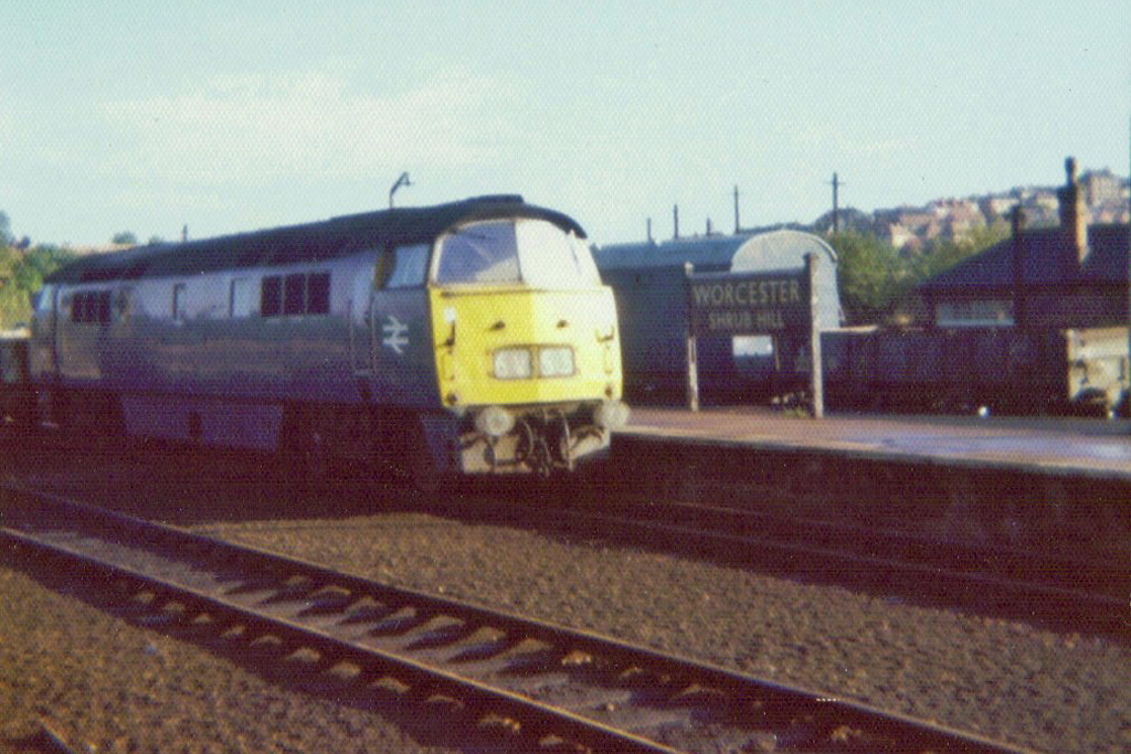 D1011 at Worcester Shtub Hill
